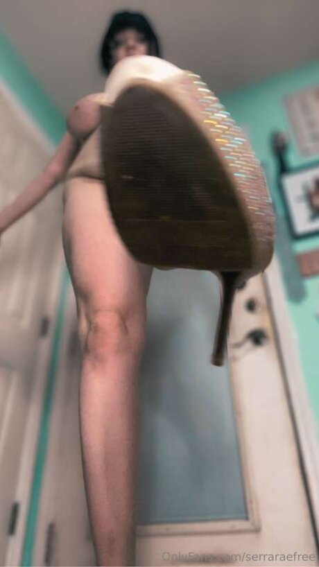 Serraraefree art modèle galeries