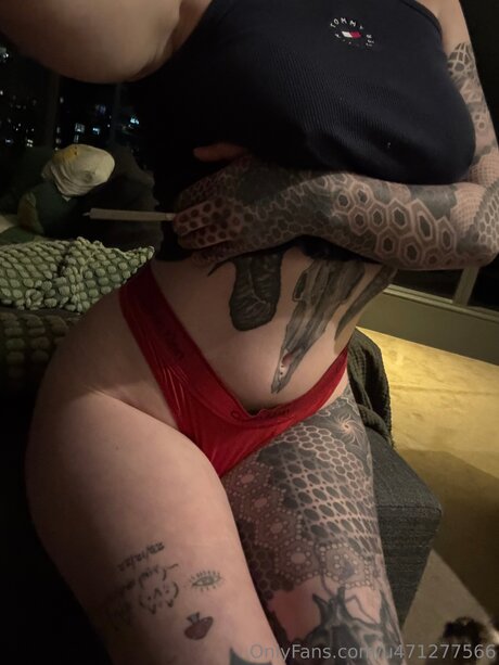 Rose Reality étoile parfaite photo