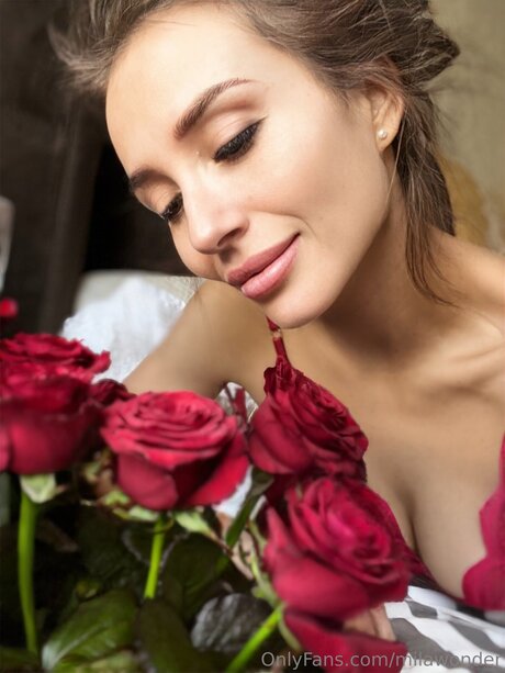 Milawonder étoile gratuite image