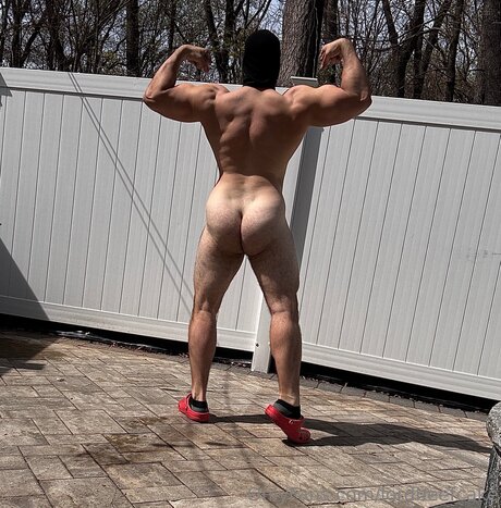 Lordbeefcake étoile adulte archive