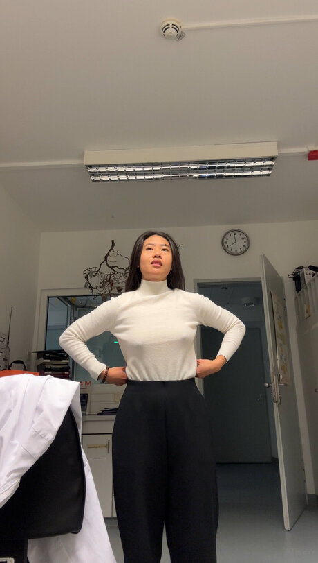 Alpsyyy haut étoile galeries