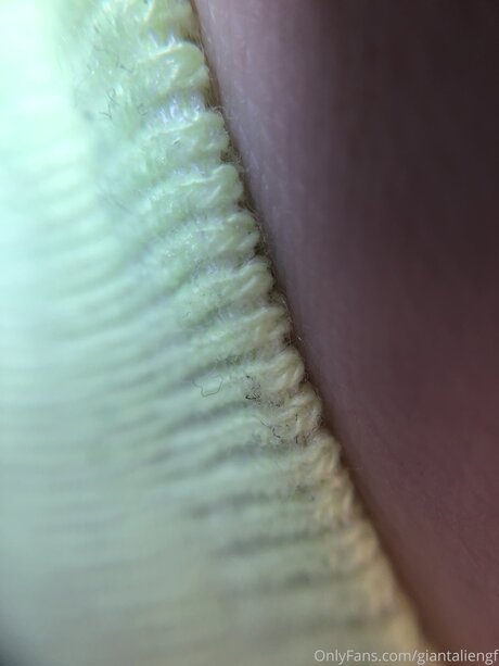 Giantaliengf modèle adulte img