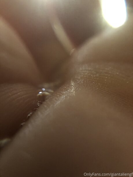 Giantaliengf star du porno xxx archive