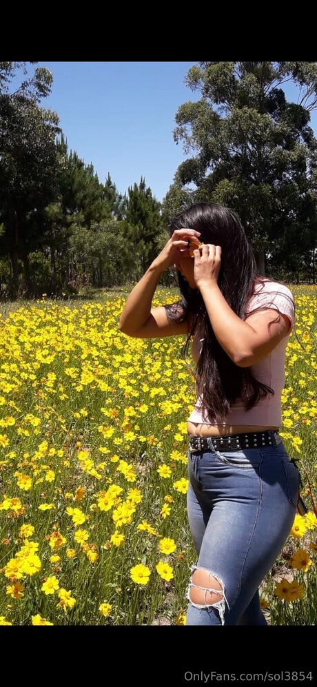 Sol3854 jolie étoile galerie