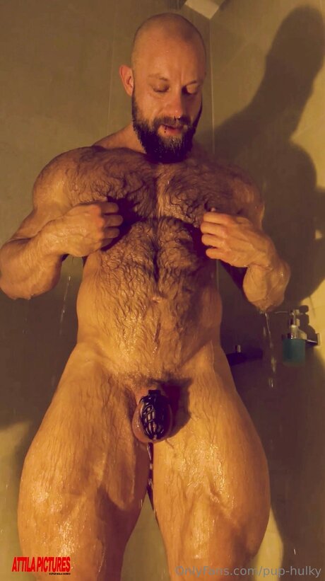 Pup Hulky modèle adulte archive