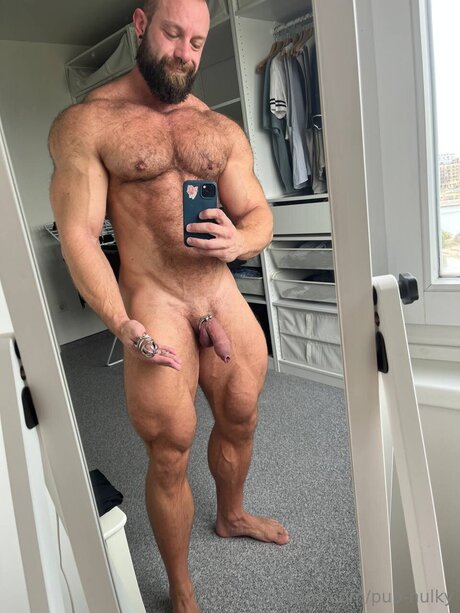 Pup Hulky star du porno de haute qualité img