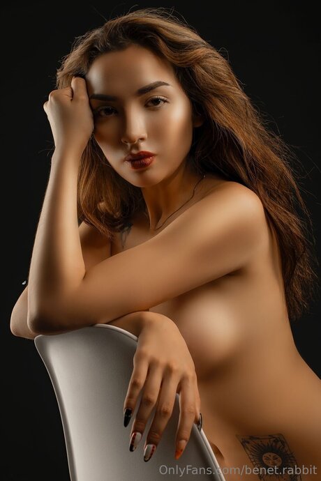 Benet Rabbit art modèle image