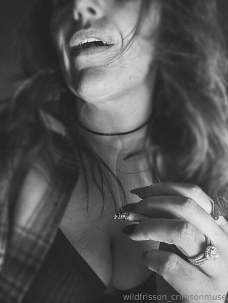 Crimsonmusewildfrisson meilleure étoile collection