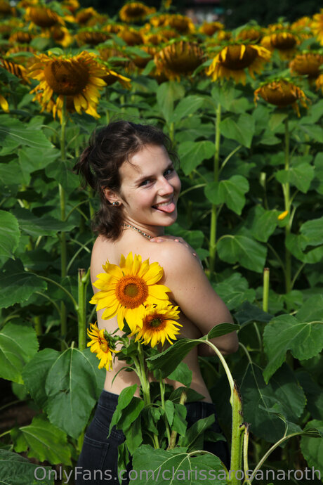 Clarissarosanaroth art étoile img