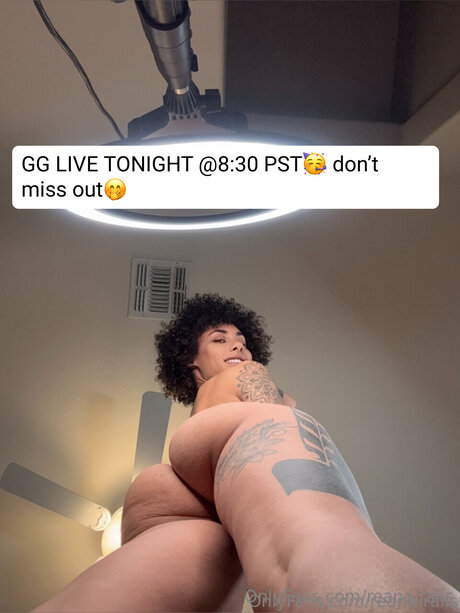 Reana Rails modèle parfait galeries