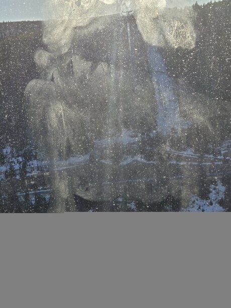 Sirenamidnight actrice libre archive