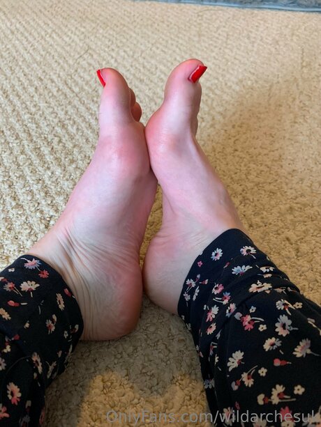 Wildarchesuk étoile parfaite photo