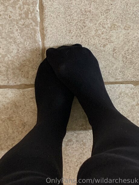 Wildarchesuk nus de stars du porno collection