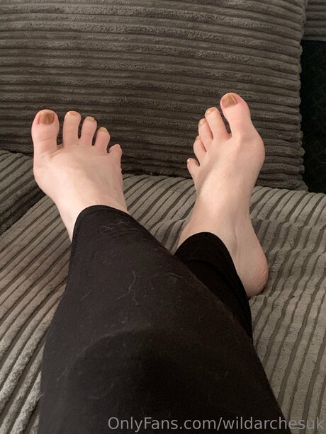 Wildarchesuk joli modèle image