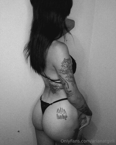 Arianatgirll art star du porno img