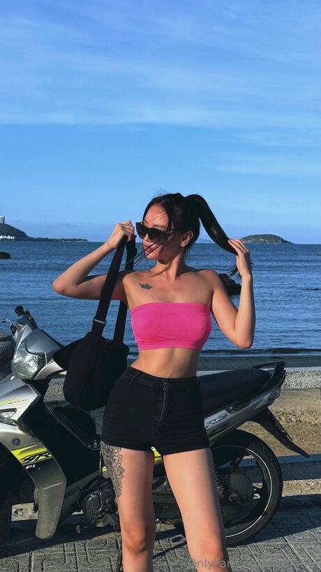 Liapetite étoile adulte photos