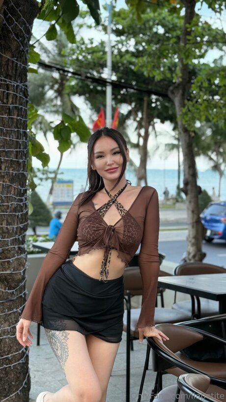 Liapetite étoile galeries