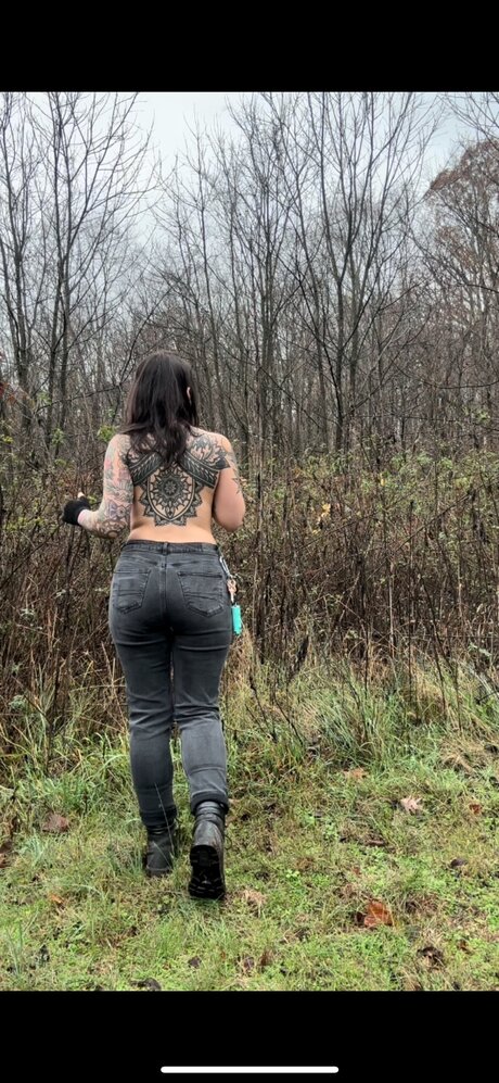 Doraxplors étoile de haute qualité img