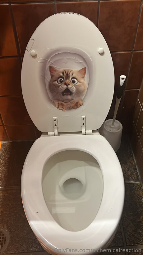 Alchemicalreaction haut de star du porno des photos