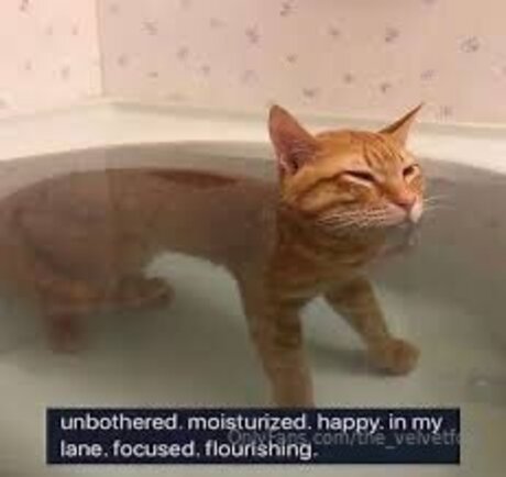 fans de monstres uniquement sexy chaud image