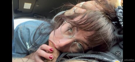 The Velvetfox étoile xxx collection