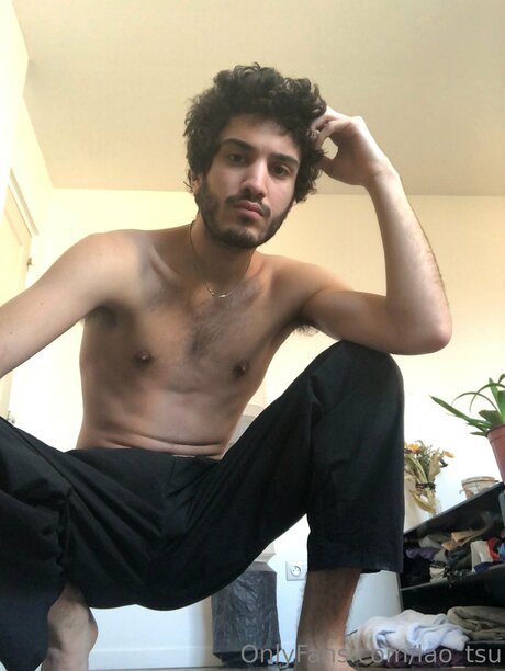 Lao Tsu modèle joli image