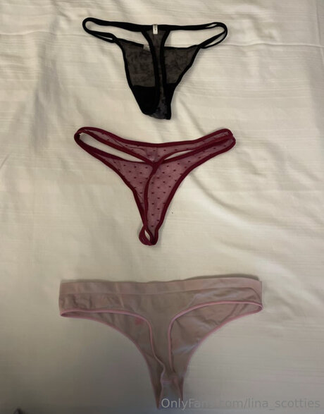 Lina Scotties art de star du porno photo