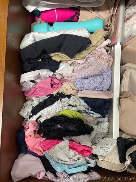 Lina Scotties star du porno images