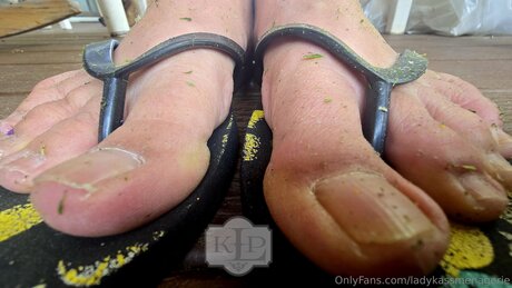 Ladykassmenagerie modèle érotique image