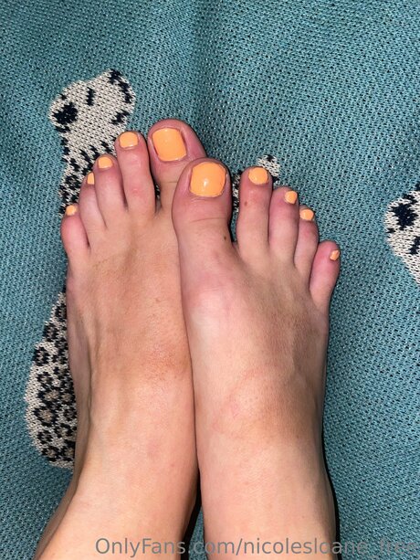 Nicolesloane Free étoile galeries