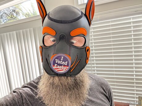 Pupbuster modèle image