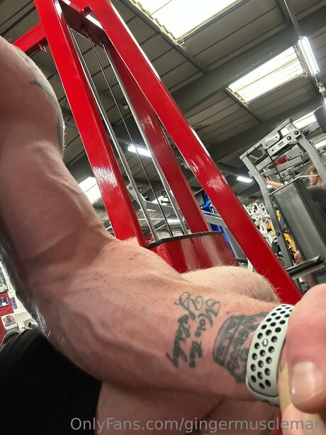 Gingermuscleman star du porno sexy galerie