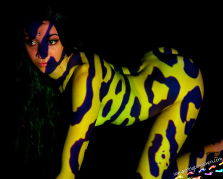 Wanderingcinnamon belle actrice collection