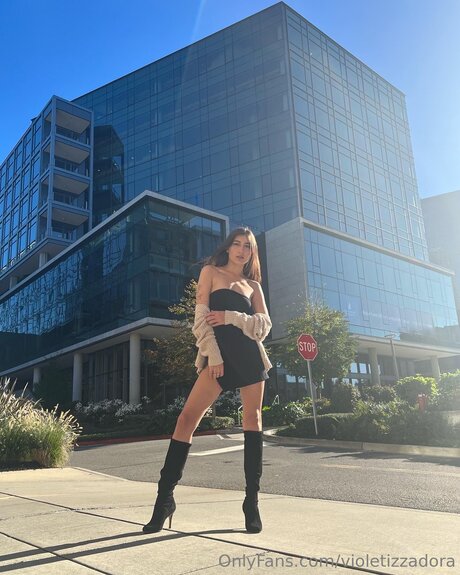 Violetizzadora joli modèle img