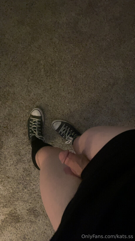 Kats Ss actrice parfaite image