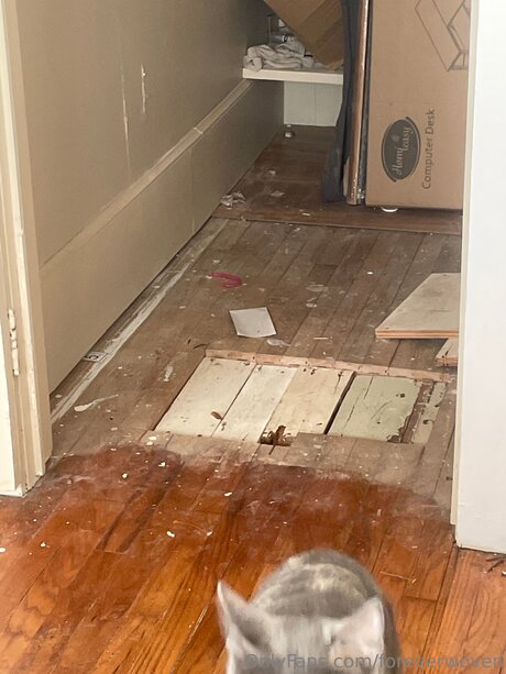 Foreverwoven art de star du porno collection