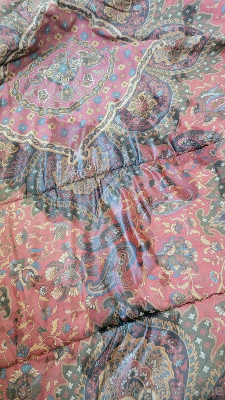 Foxhasshame actrice nue photos