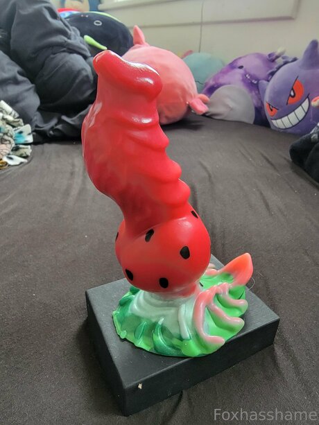 Foxhasshame modèle exclusif photos