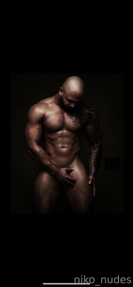 Nikos Nudes star du porno de haute qualité image