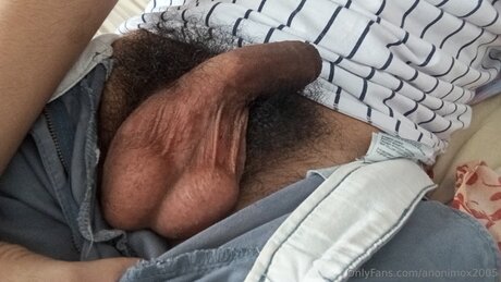 Anonimox2005 beau modèle img