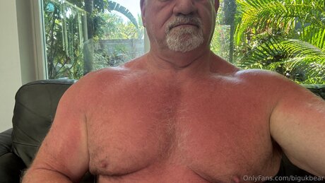 Bigukbear art de star du porno img