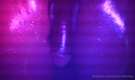 Subscribeninja haut modèle galeries