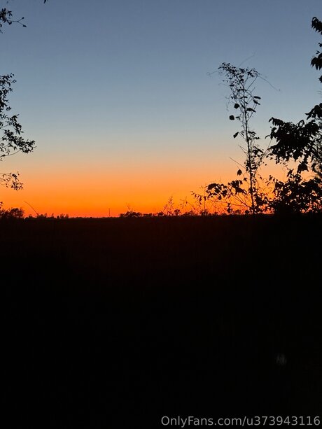 Man Of Your Dream star du porno chaud img