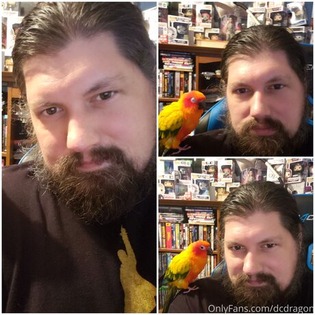 Dcdragon art étoile img