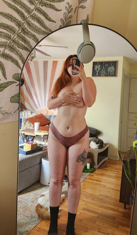 itsbrinacatt étoile gratuite images