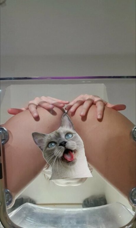 candycatcris star du porno de haute qualité collection