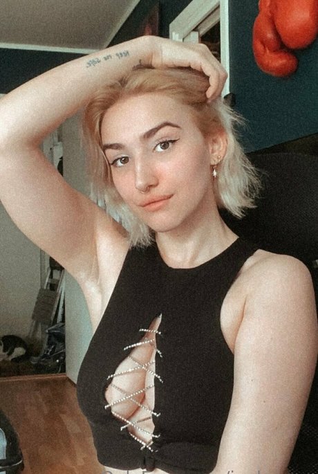 joelenesa étoile chaude collection