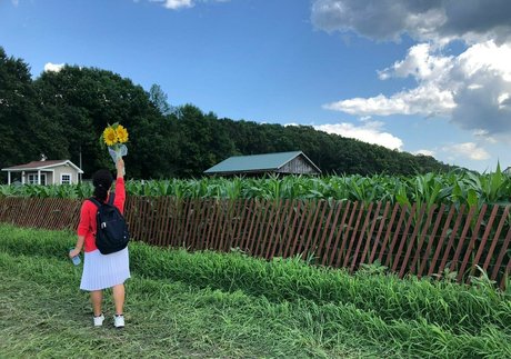 sunnymei belle star du porno collection