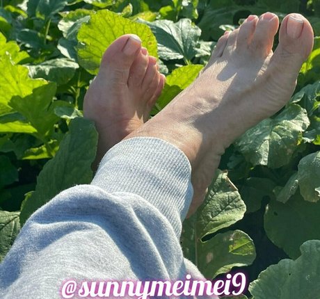 sunnymei modèle artistique images