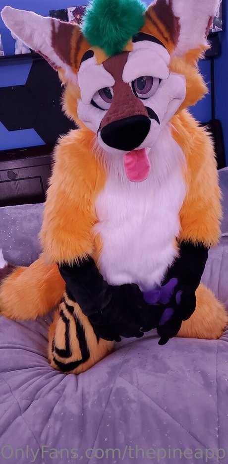 couple de fans uniquement chaud sympa galerie